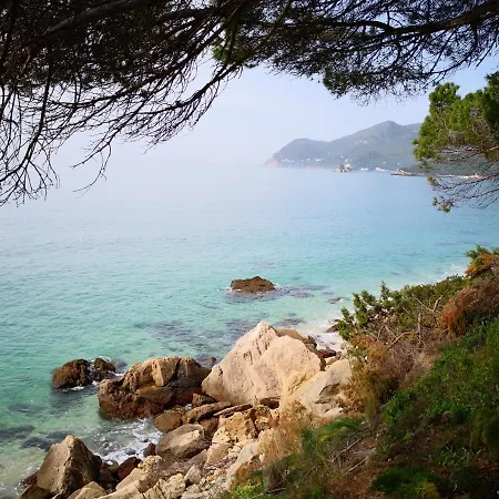 Apartmán Perola Da Agua - Estudio No Centro De